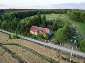 Stary Dom, a może, Kruklanki